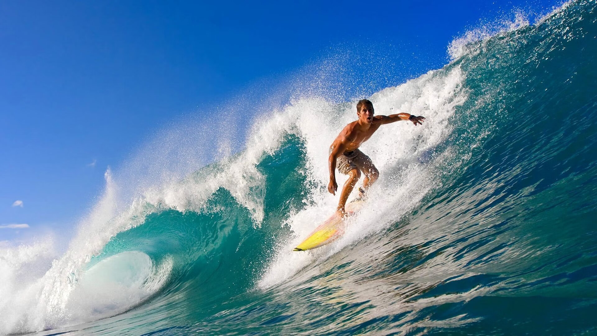 技术雷达图显示划水效率进步明显
