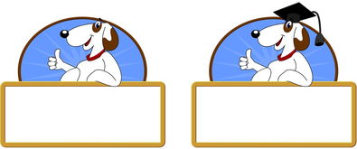 校园体育节活动对学生参与度的促进作用，学校体育节活动描述